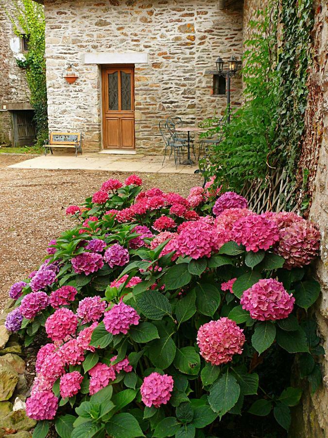 The Storyteller Apartment At Chateau Le Mur Carentoir Exterior photo